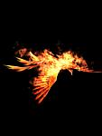 ������ ��� Pentedynameon