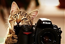 ������ ��� Visir
